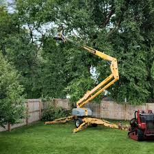 Best Landscape Design and Installation  in Big River, CA