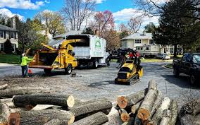 Best Lawn Renovation and Restoration  in Big River, CA