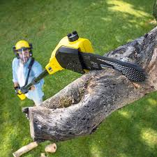 Best Lawn Renovation and Restoration  in Big River, CA